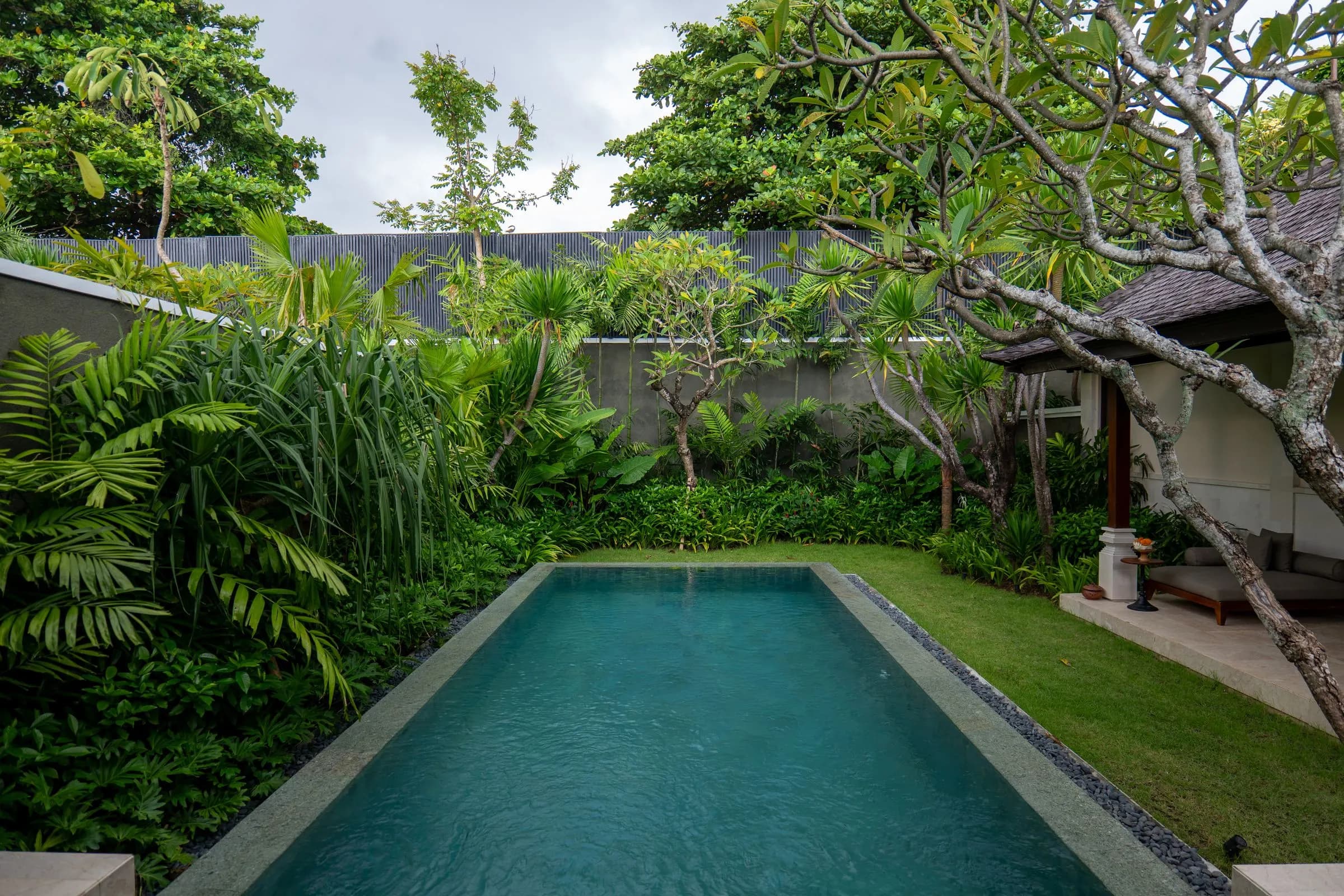 Long private pool in a walled tropical garden