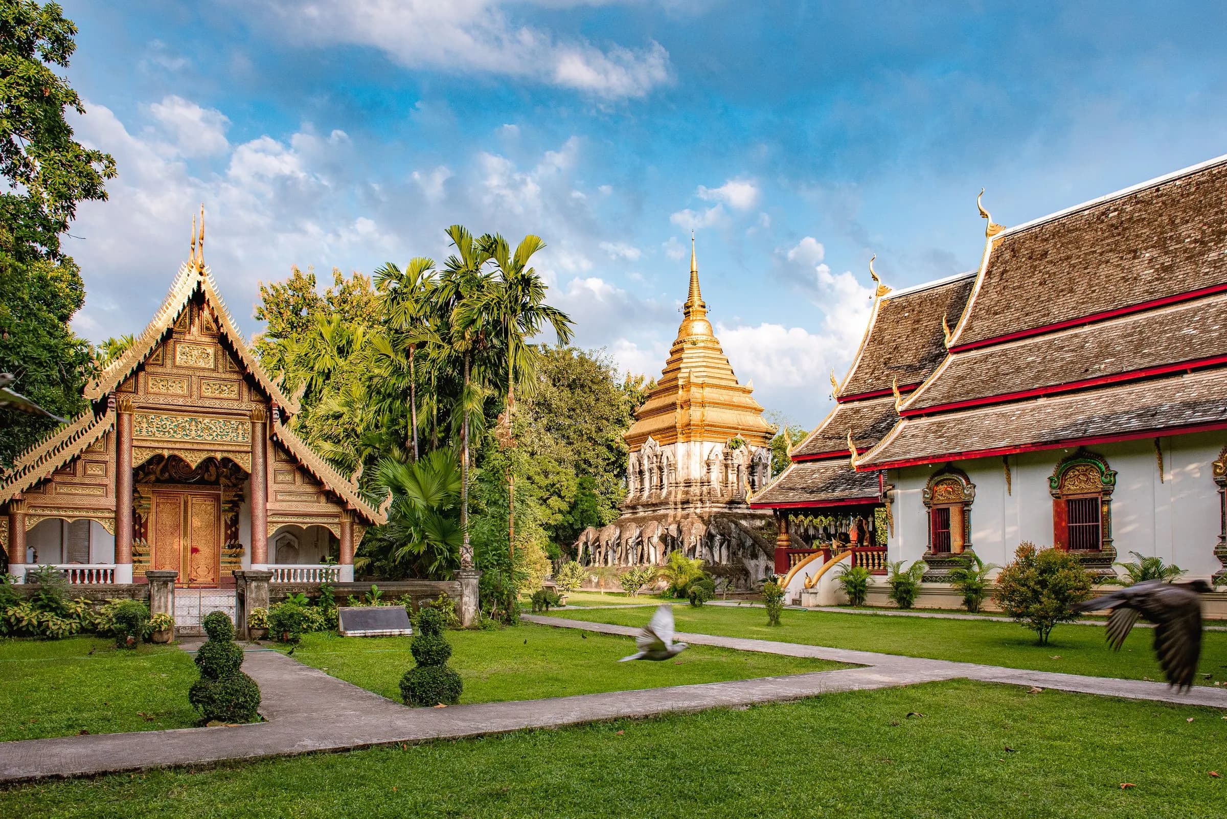 Temple Morning