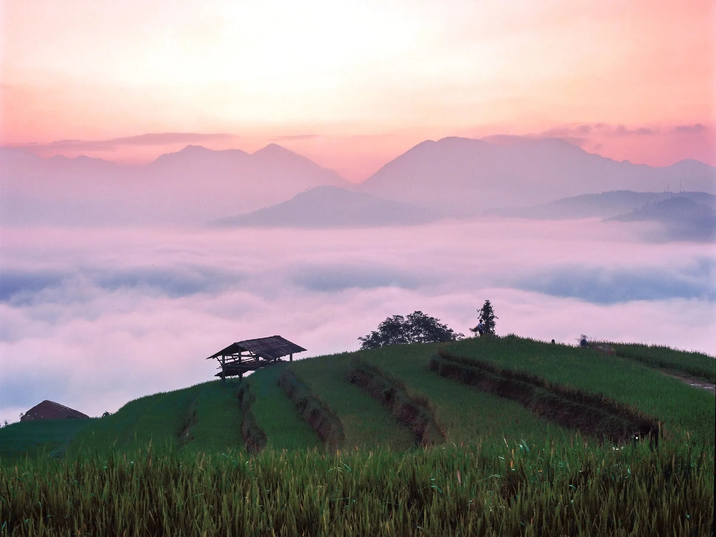 Three-Day Stillness Retreat